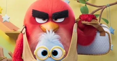 Angry Birds 3 : Red, le papa poule vénère, débarque au cinéma