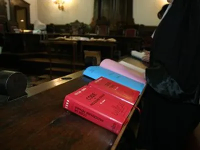 Un jeune homme condamné pour atteinte sexuelle sur une ponette
