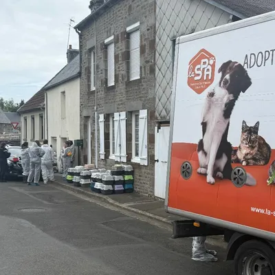 Une soixantaine de chats retrouvés au domicile d'une Viroise 