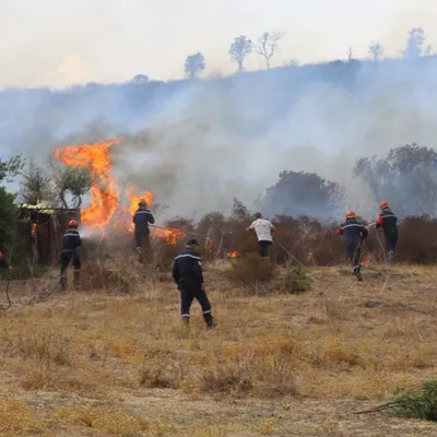 Algérie : une nuit dramatique, douze morts dans les incendies