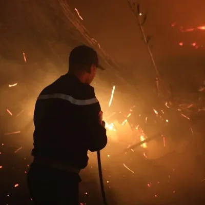 Algérie : des incendies d’automne bouleversent le Nord du pays ! 