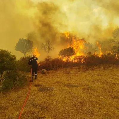 Les incendies plongent l'Algérie dans le deuil ! 