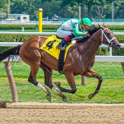 Pronostics hippiques du 30 avril au 1er mai 2024