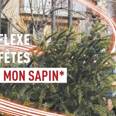 [ Société ] Que faire de votre sapin après les fêtes ? Des...