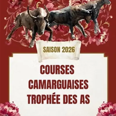 Course camarguaise : le Trophée des As entre dans sa dernière ligne...
