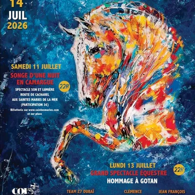 Feria du Cheval à Sainte-Marie-de-la-Mer : immersion au cœur des...