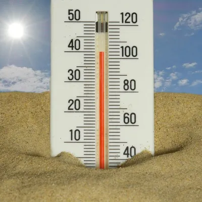Canicule : les fortes chaleurs bousculent le quotidien et les...