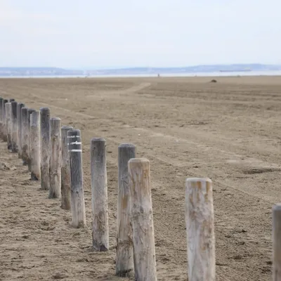 Port-Saint-Louis-du-Rhône : la baignade interdite sur plusieurs...