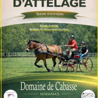 [ Evènement ] Concours d’attelage à Miramas : un week-end...
