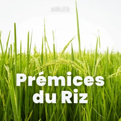 À Arles, les chars des Prémices du riz se préparent à reprendre la...