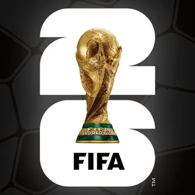 Coupe du monde : l’Argentine rejoint la Suisse en quarts de finale