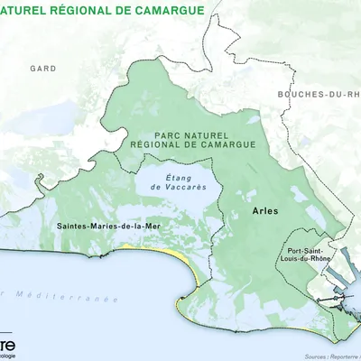 Camargue : une mobilisation inédite contre le projet de ligne à...