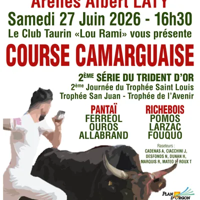 Course camarguaise à Plan d’Orgon : une journée d’exception dans...