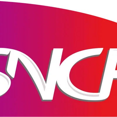 Grève SNCF : un trafic TER perturbé ce mercredi en...