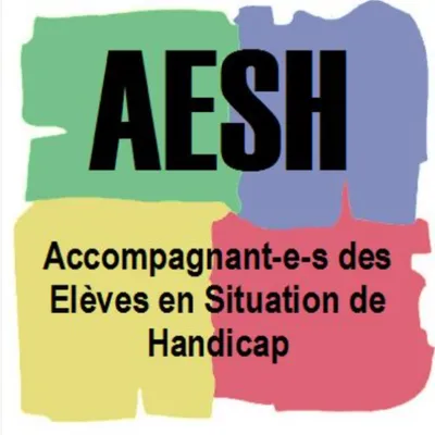 Grève des AESH : mobilisation nationale pour de meilleures...