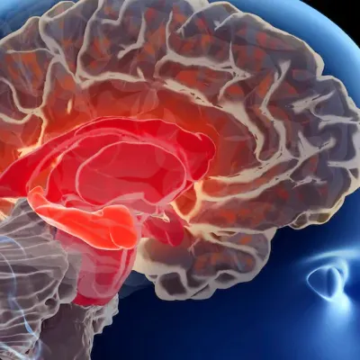Alzheimer : une prise de sang pourrait-elle anticiper l’apparition...