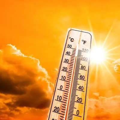 Canicule et logements : une situation jugée préoccupante par une...