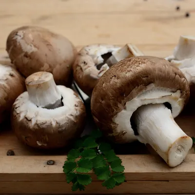 Après les pluies, la saison des champignons est-elle ouverte en...