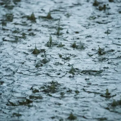 Pluies intenses en Camargue : pourquoi la vigilance doit monter...