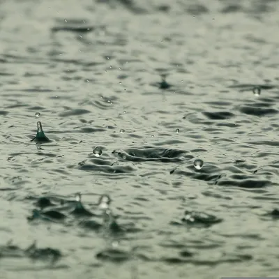 Des Saintes-Maries-de-la-Mer à Nîmes, les fortes pluies ont balayé...
