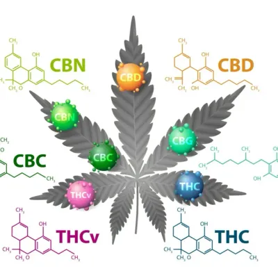 Cannabinoïdes de synthèse : ces produits vendus comme alternatives...