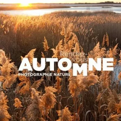 Aux Saintes-Maries-de-la-Mer, la photographie de nature à l’honneur...