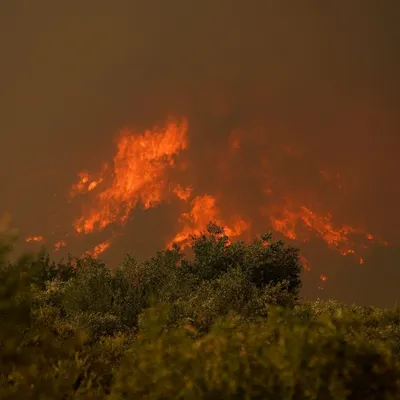 Incendies en Gironde : un mégafeu historique continue de menacer...