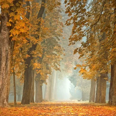 Automne en Camargue : pourquoi notre corps change de rythme et...