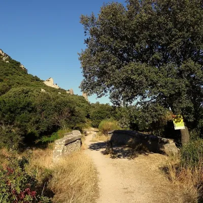 [ Société ] Entretien des sentiers : une journée de collaboration...