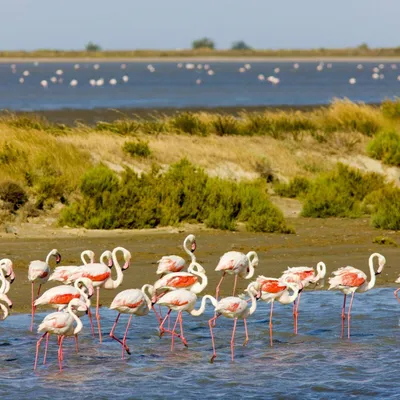 En Camargue, le patrimoine se découvre aussi au fil de l’eau et des...