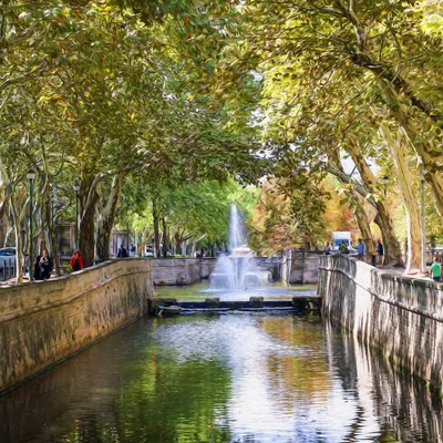 [ Ecologie ] Cinq nouveaux arbres bientôt plantés sur les quais de...