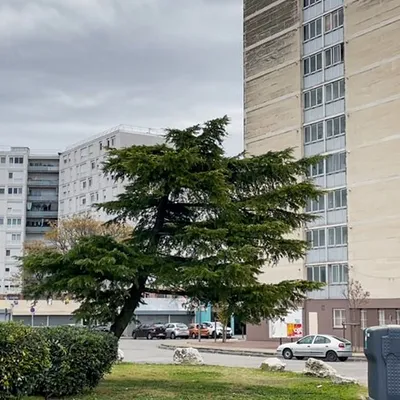À Barriol, le renouvellement urbain veut aussi ouvrir la voie à...