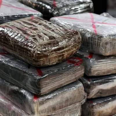 [Justice] Un joli coup de filet sur l’A54