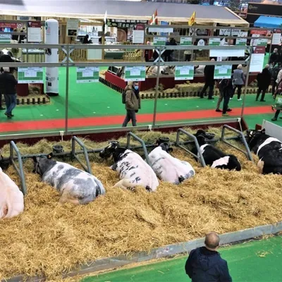 [ Société ] Un Salon de l’agriculture 2026 inédit s’annonce à Paris