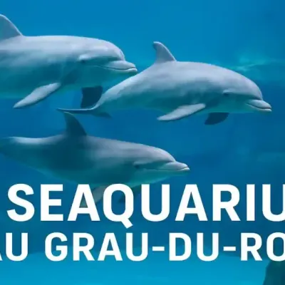 [Loisirs & Découvertes] Seaquarium – Grau du Roi : immersion au...