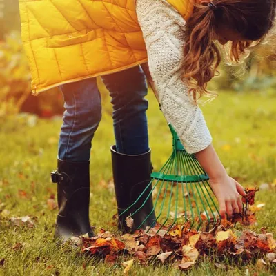 Fin de l’été : les gestes essentiels pour préparer son jardin à...