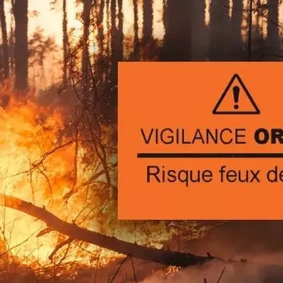 Feux de forêt : plusieurs massifs des Bouches-du-Rhône placés sous...