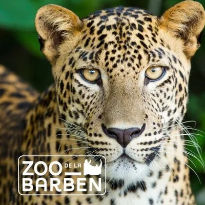 Zoo de la Barben : une escapade familiale au cœur de la Provence