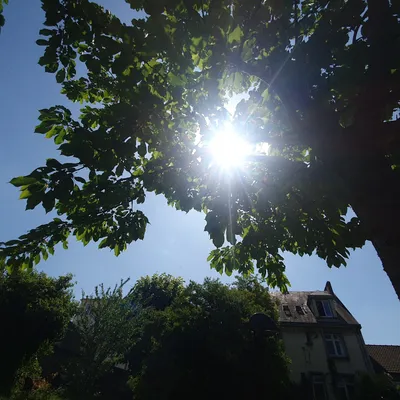 🔊Le mois d'avril a été trop doux et trop sec en Eure-et-Loir