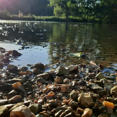 Les mesures de restriction des usages de l'eau évoluent en ce début...