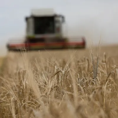 EURE-ET-LOIR - Les agriculteurs invités à suspendre la moisson de...
