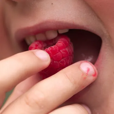 Des fruits distribués à la récrée dans quatre collèges