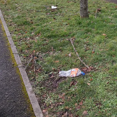 Des dizaines de sacs remplis de déchets, ramassés dans la nature