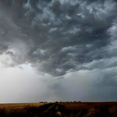 Alerte météo : vents violents et orages mercredi en Eure-et-Loir