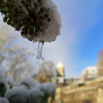 🔊Après la douceur début novembre, la fraîcheur et peut-être...