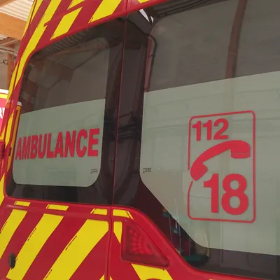 ARDELLES – L'incendie d'une voiture se propage à une haie