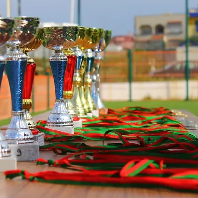 Les clubs sportifs nogentais honorés