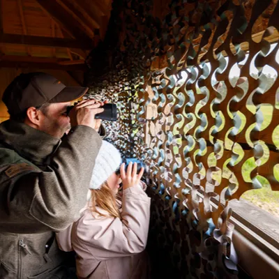 Chambord au crépuscule, pour découvrir la faune sauvage