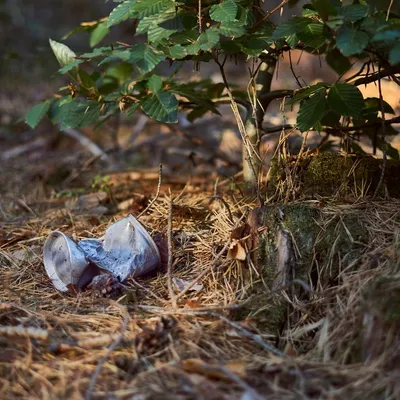 Le C’Chartres Volley s'attaque aux déchets