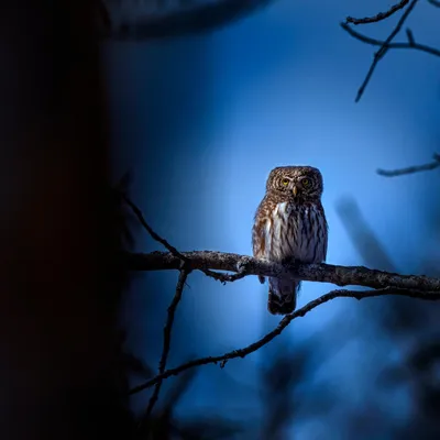🔊 Vos idées de sorties pour les vacances de printemps